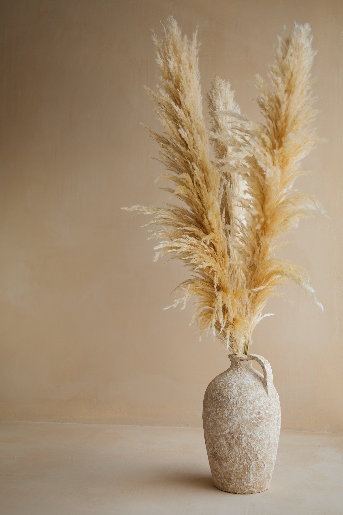 XL Pampas Grass - Beige (Set of 3)