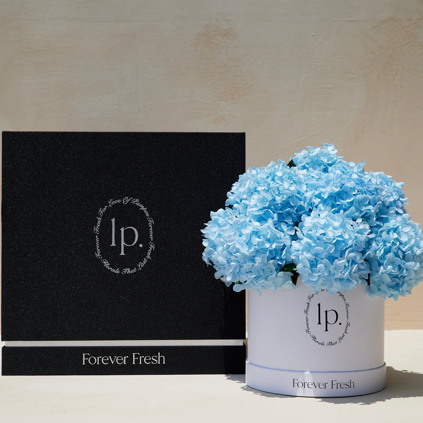 Preserved Hydrangeas - Light Blue (Large)