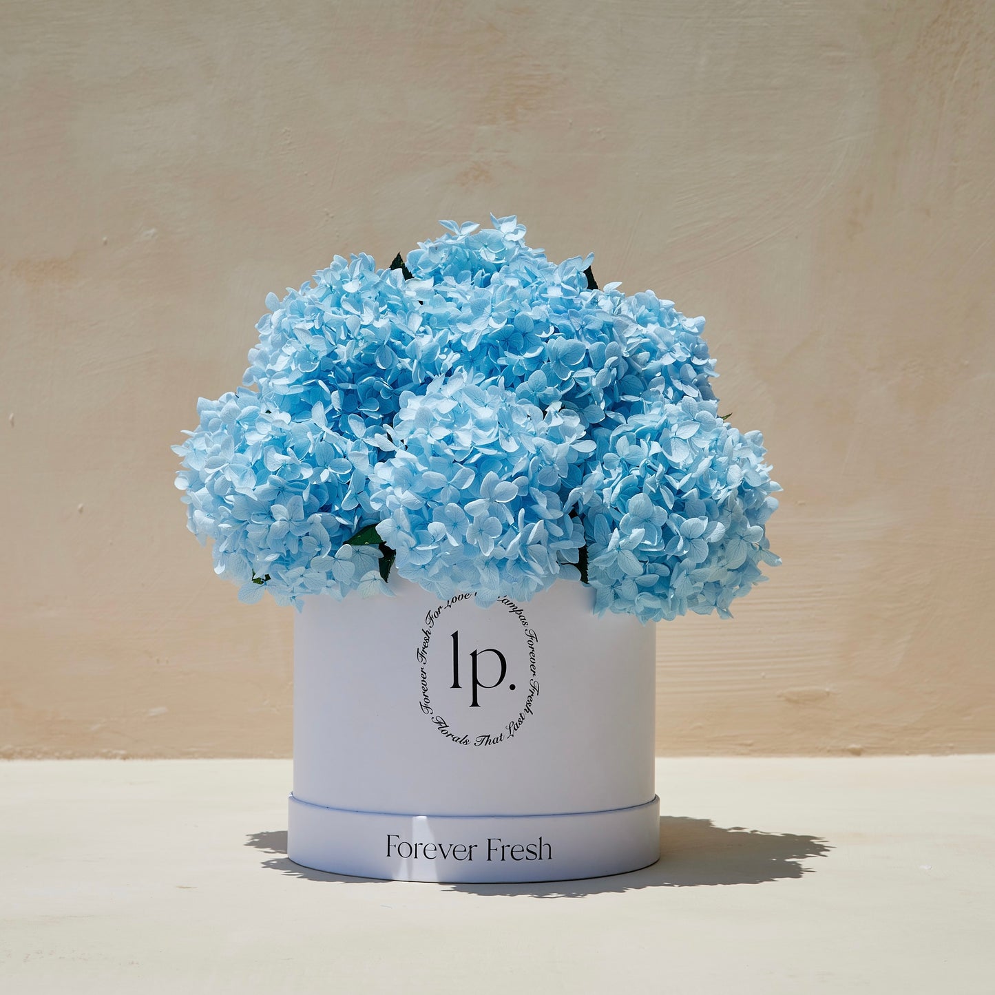 Preserved Hydrangeas - Light Blue (Large)