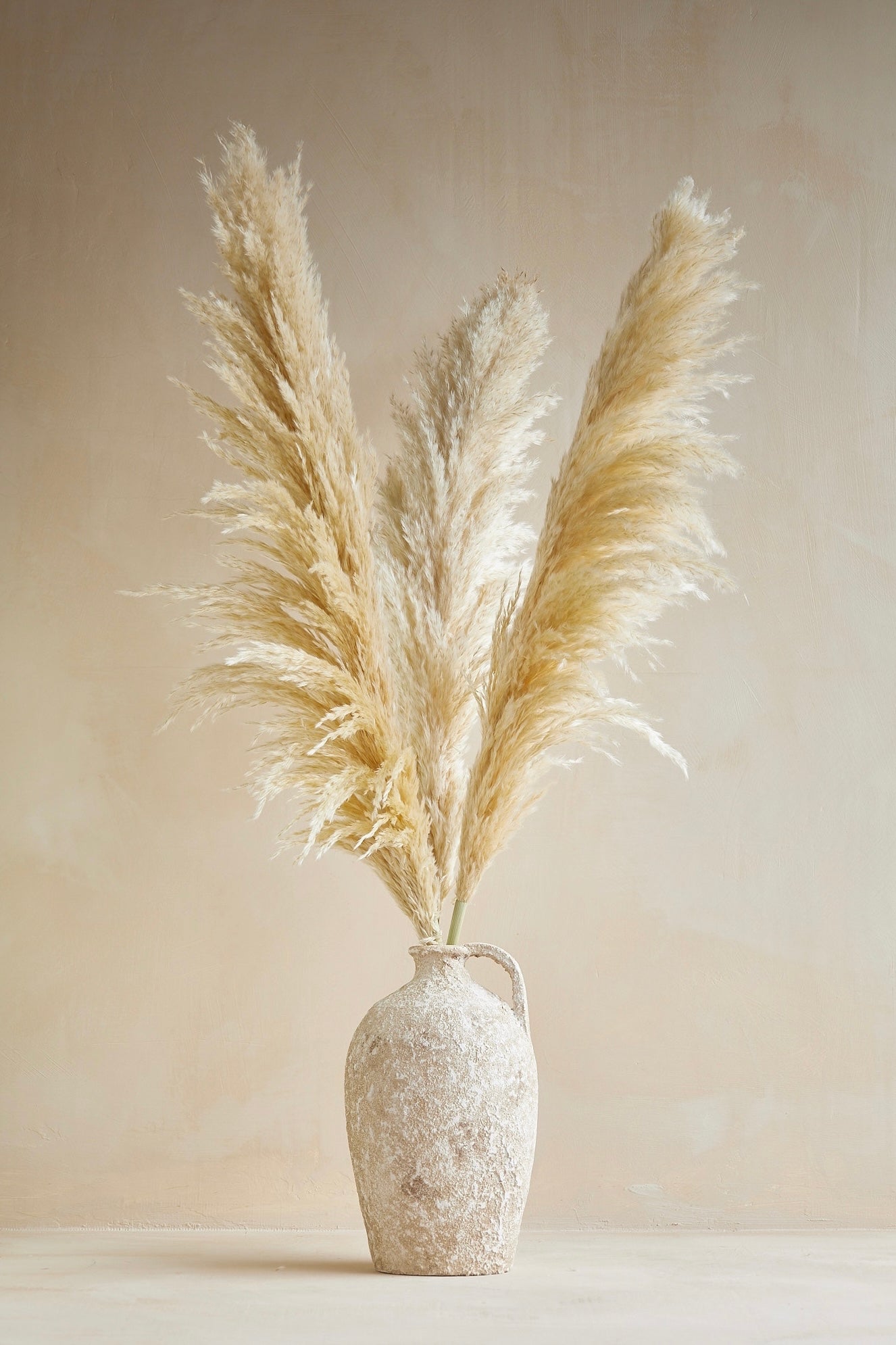 XL Pampas Grass