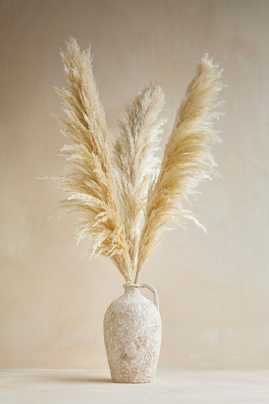 XL Pampas Grass - Beige (Set of 3)
