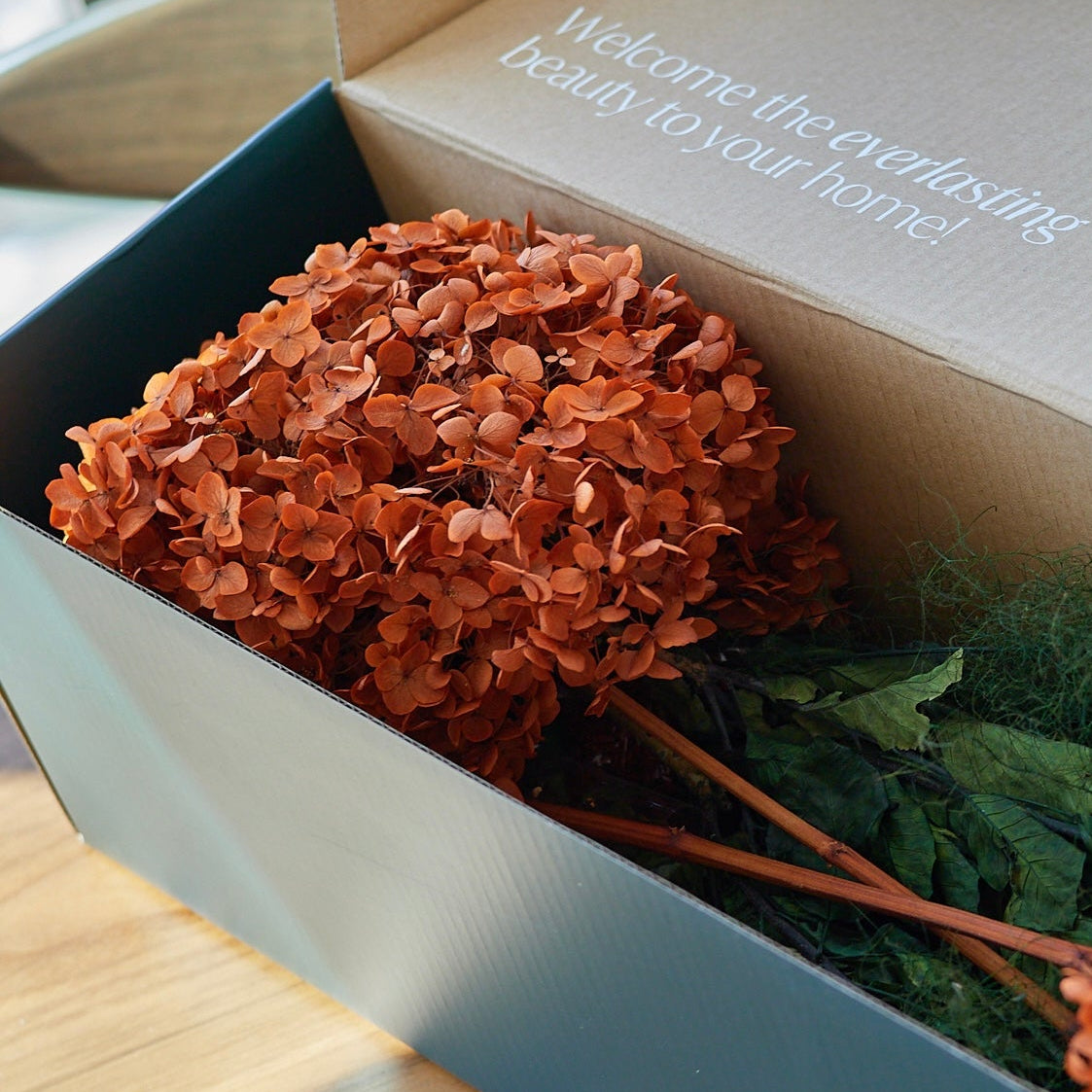 Neo Preserved Hydrangea Set in Glass Vase