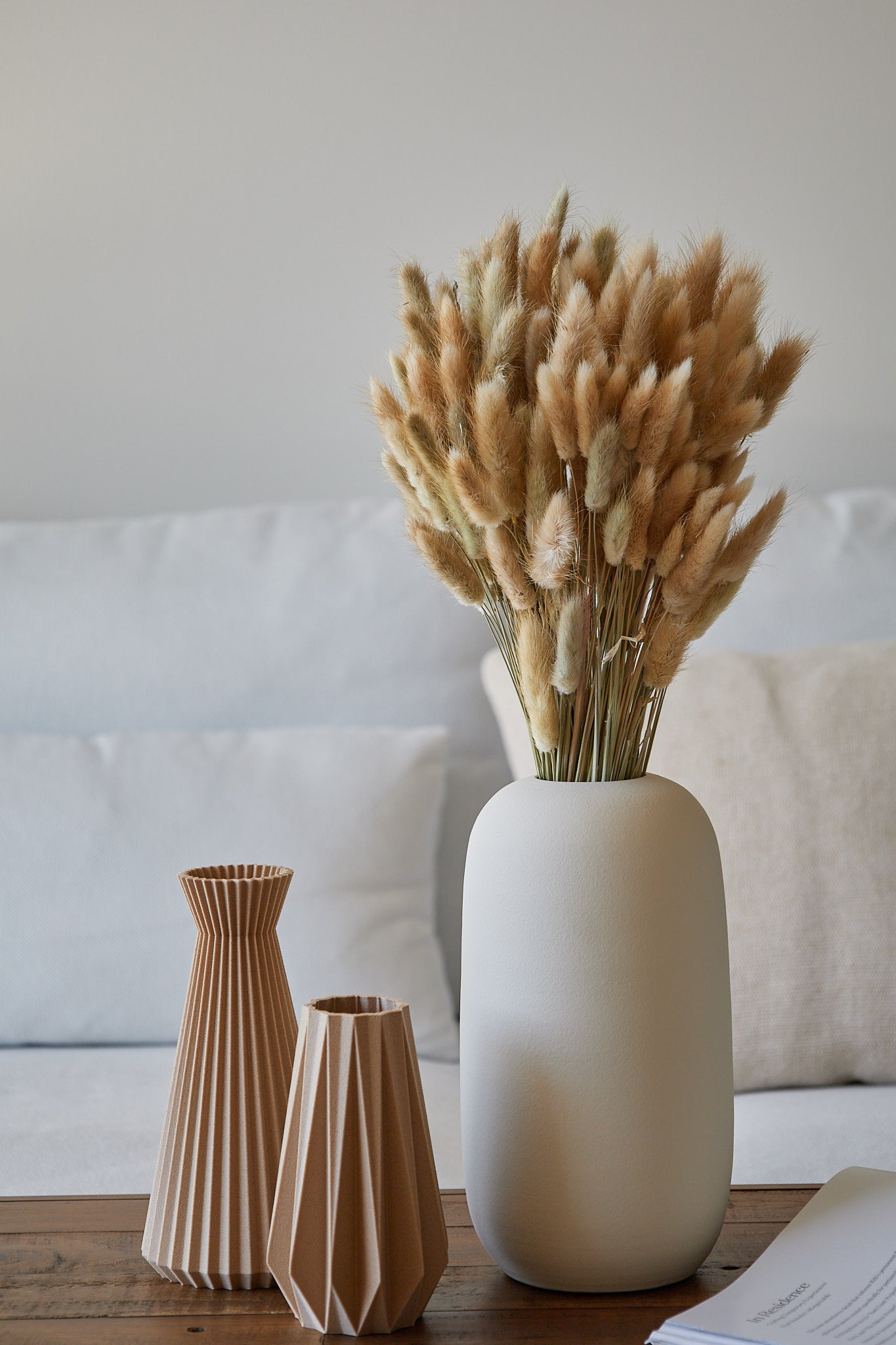 Bunny Tails - Natural (180 stems)