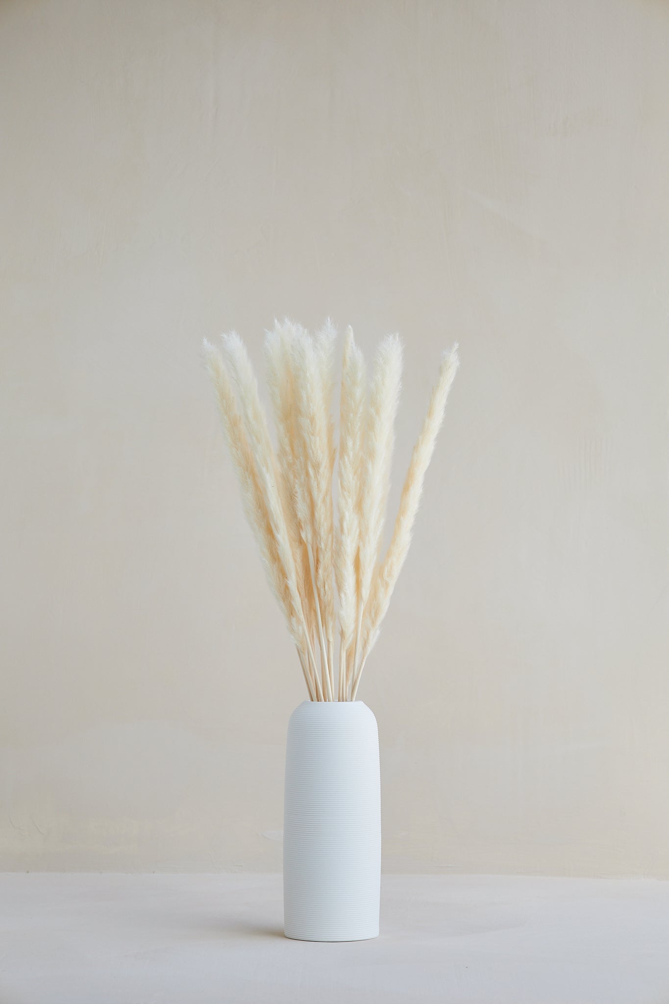 Small Pampas Grass - White (15 stems)