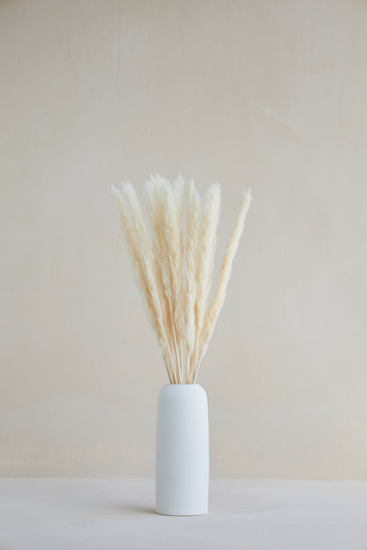 Small Pampas Grass - White (15 stems)