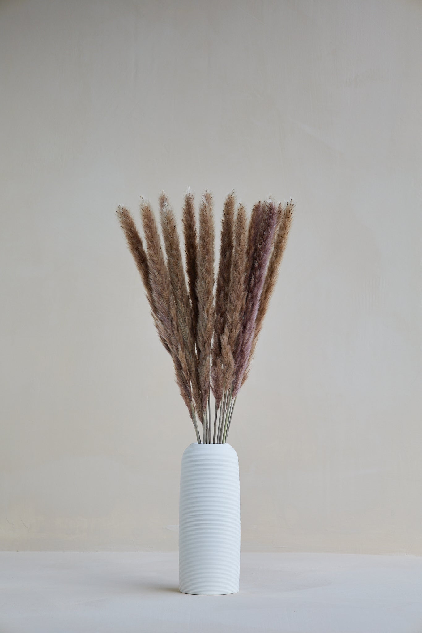 Small Pampas Grass - Natural (15 stems)