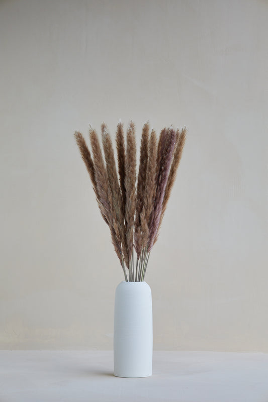 Small Pampas Grass - Natural (15 stems)