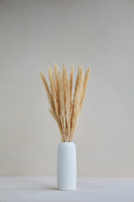 Small Pampas Grass - Beige (15 stems)
