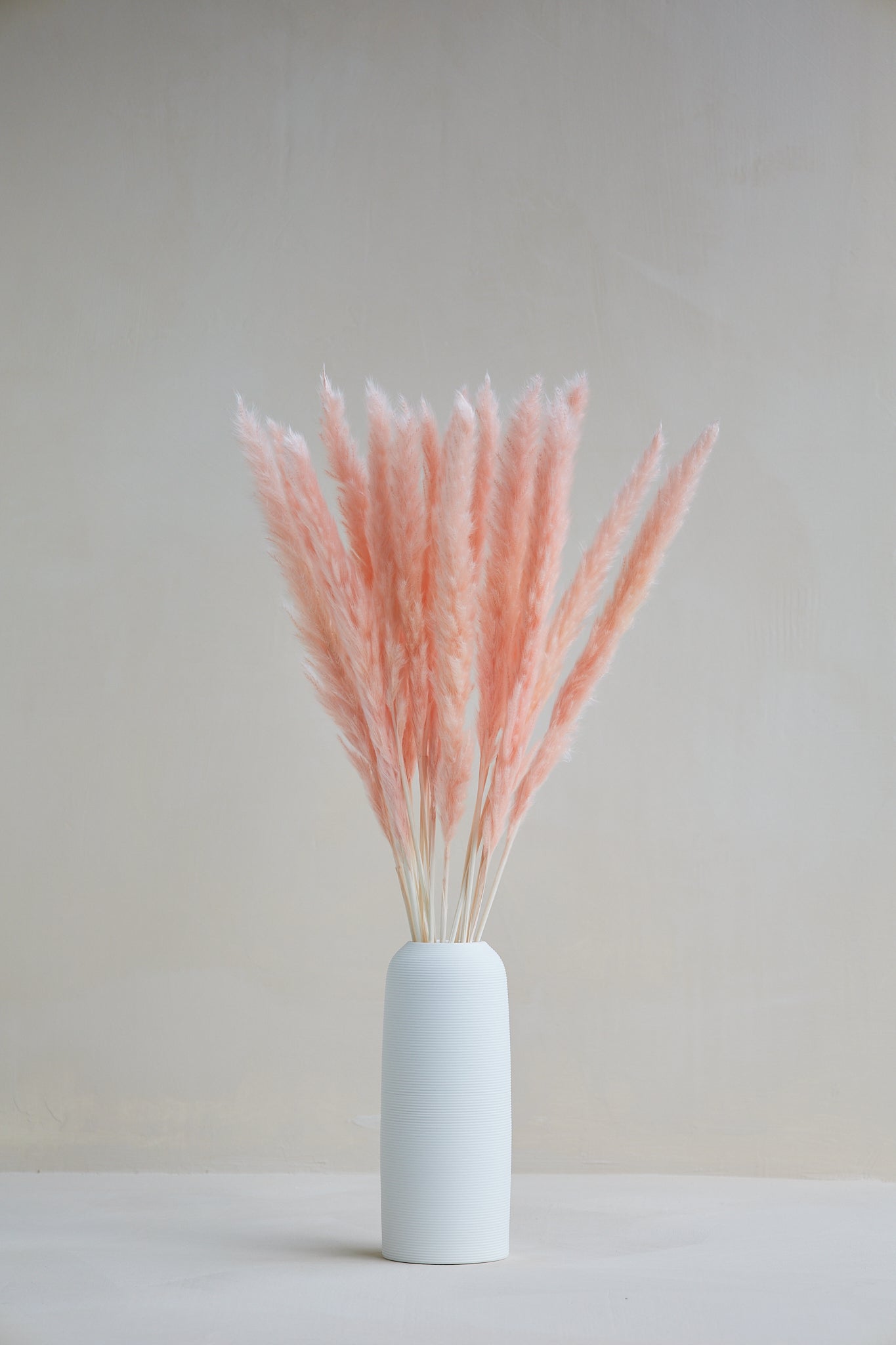 Small Pampas Grass - Light Pink (15 stems)