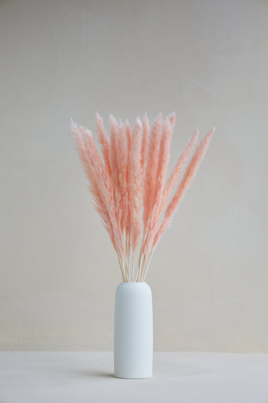Small Pampas Grass - Light Pink (15 stems)