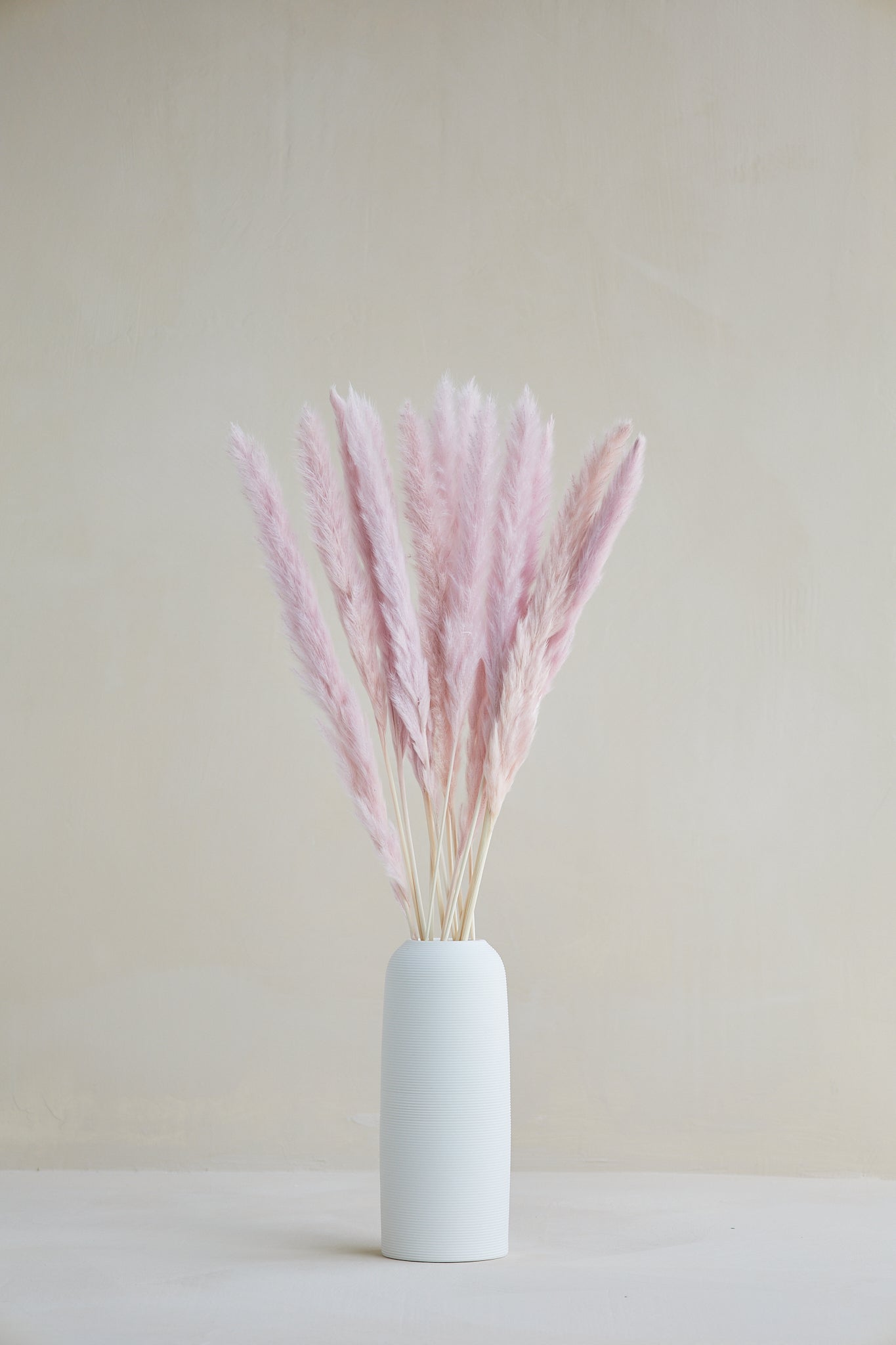 Small Pampas Grass - Light Mauve (15 stems)