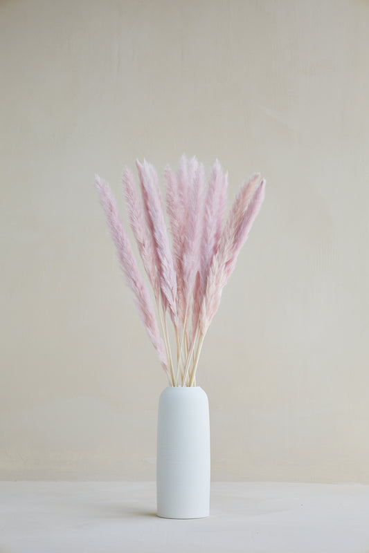 Small Pampas Grass - Light Mauve (15 stems)