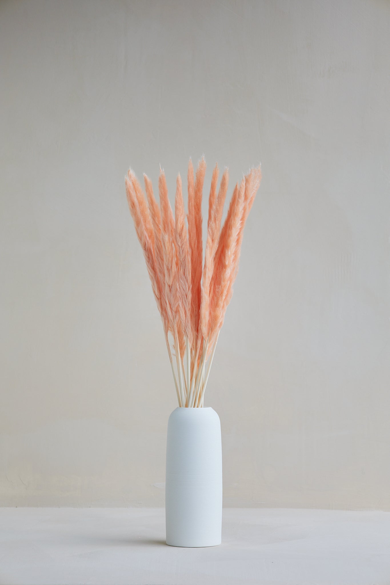 Small Pampas Grass - Champagne (15 stems)