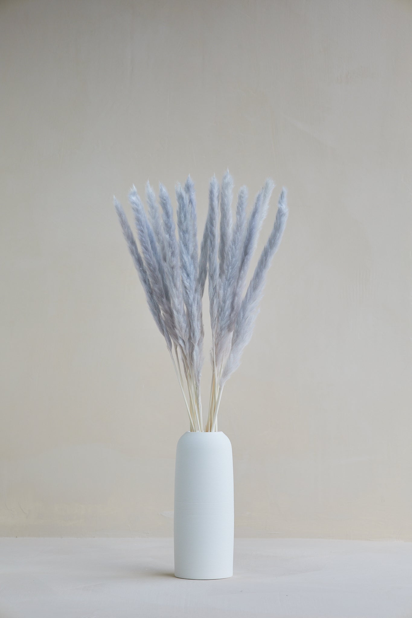 Small Pampas Grass - Gray (15 stems)