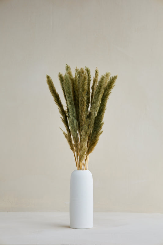 Small Pampas Grass - Frost Green (15 stems)