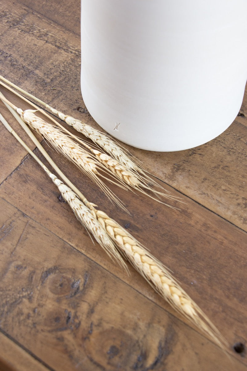 Wheat Bunch