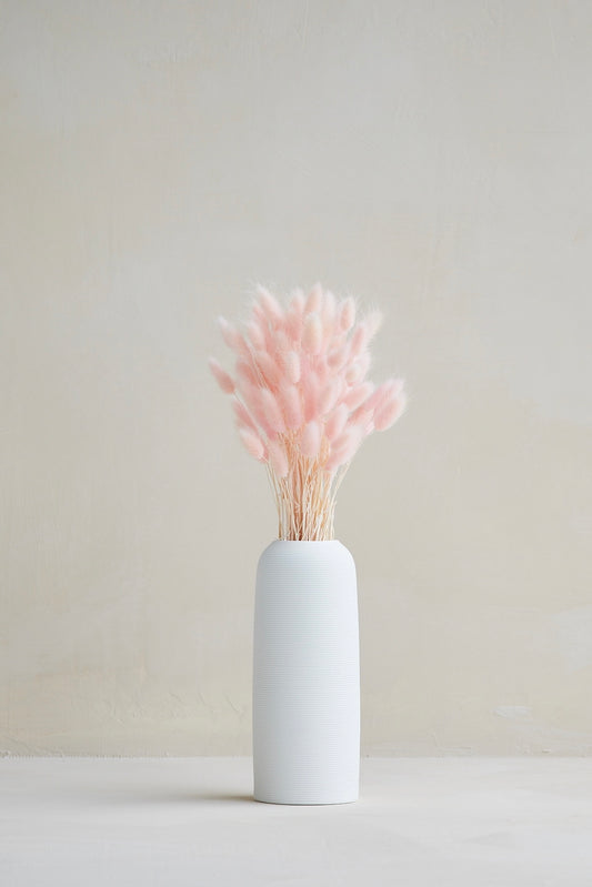 Bunny Tails - Light Pink (60 stems)