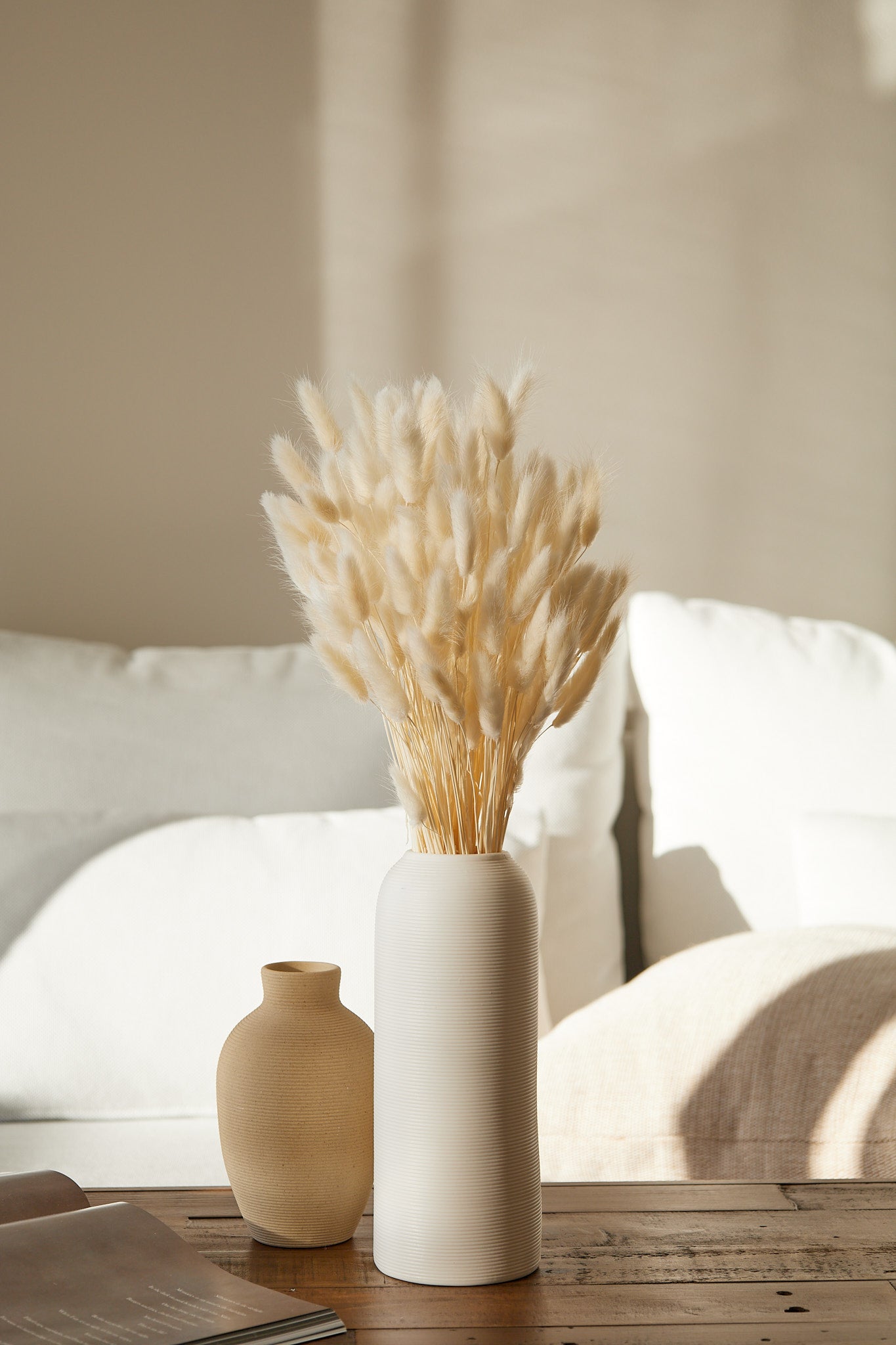 Bunny Tails - White (180 stems)