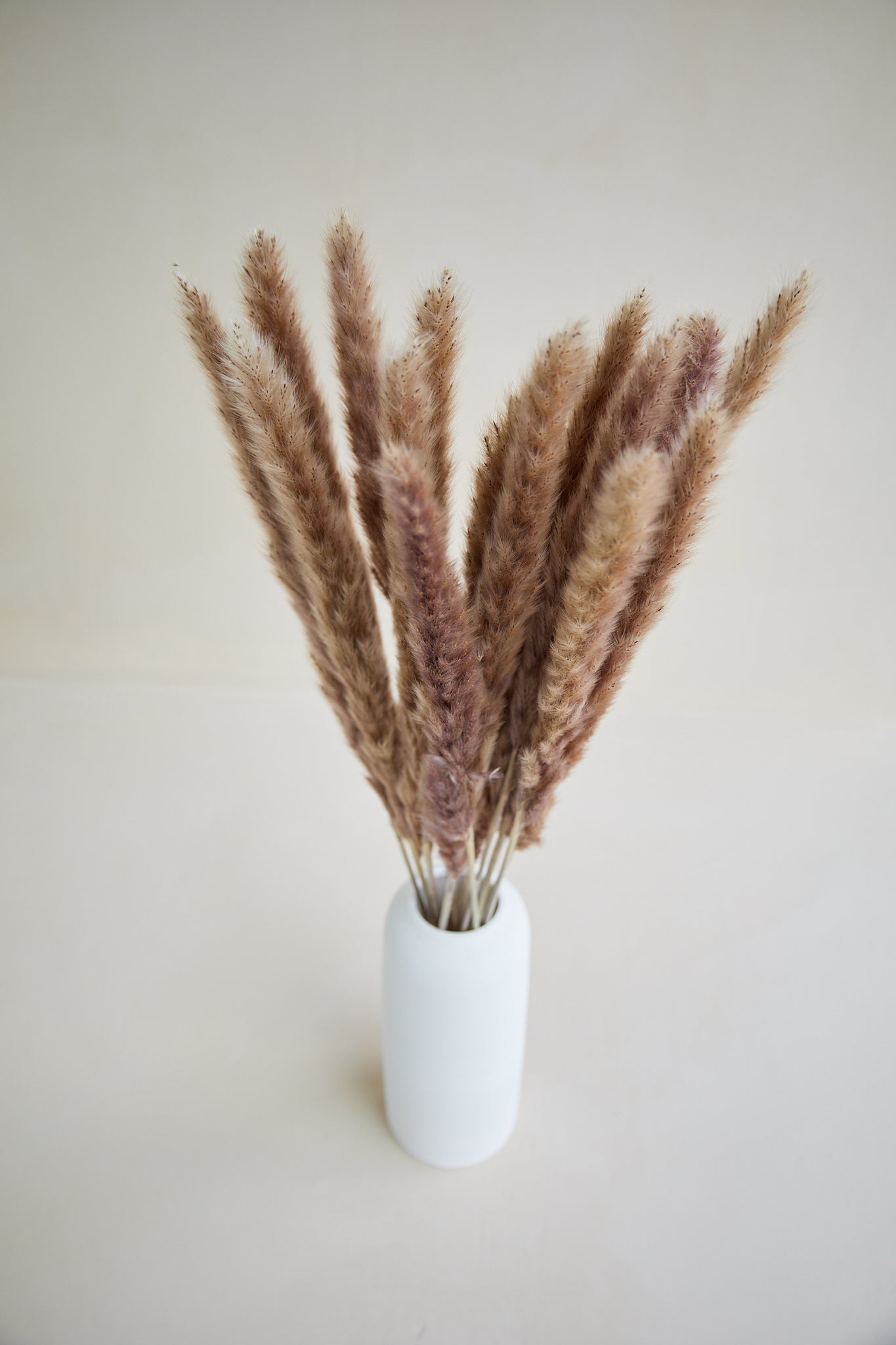 Small Pampas Grass - Natural (15 stems)