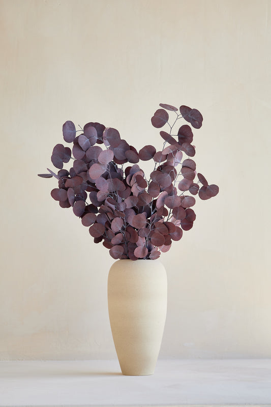 Preserved Silver Dollar Eucalyptus - Red