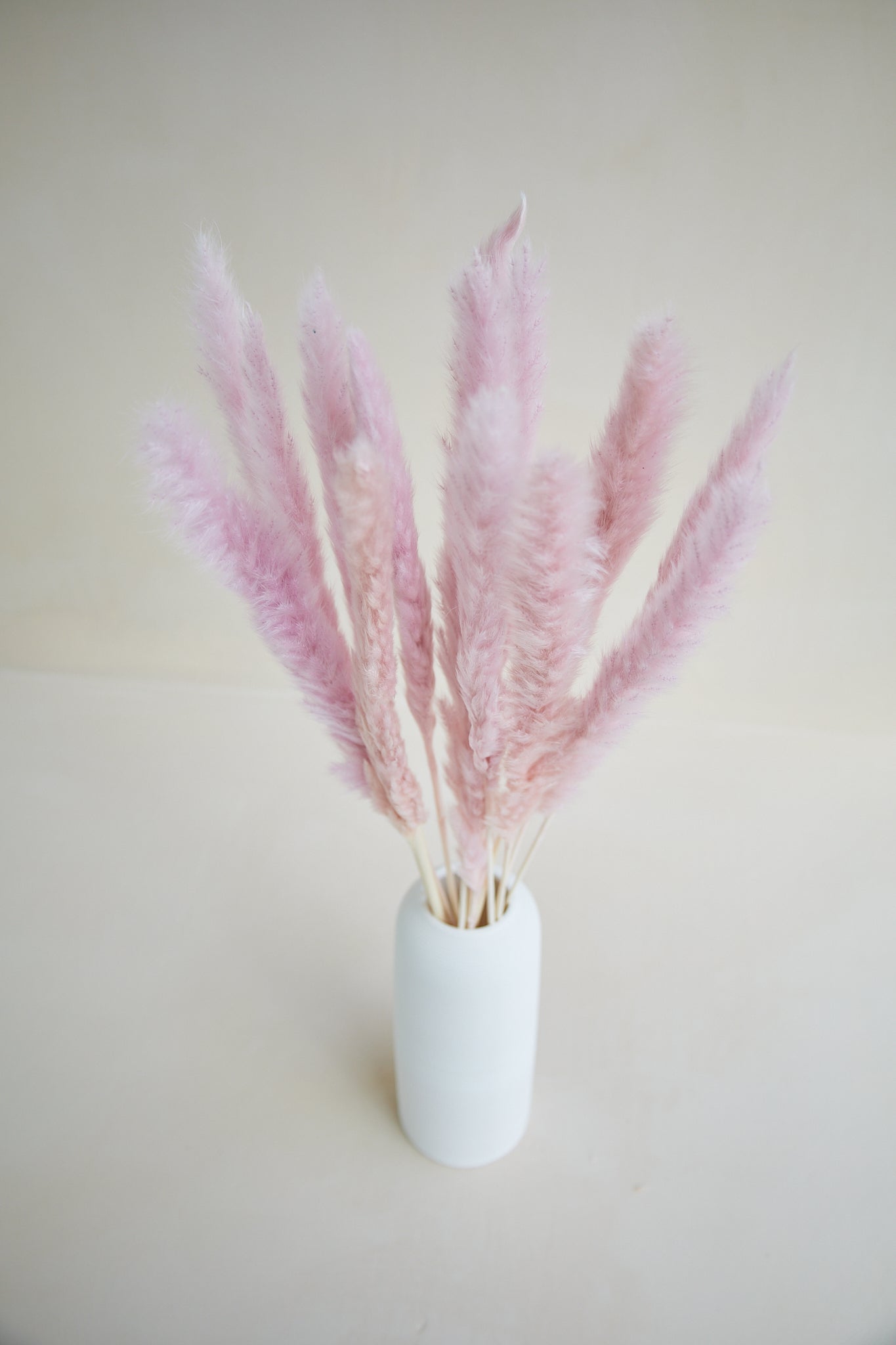 Small Pampas Grass - Light Mauve (15 stems)