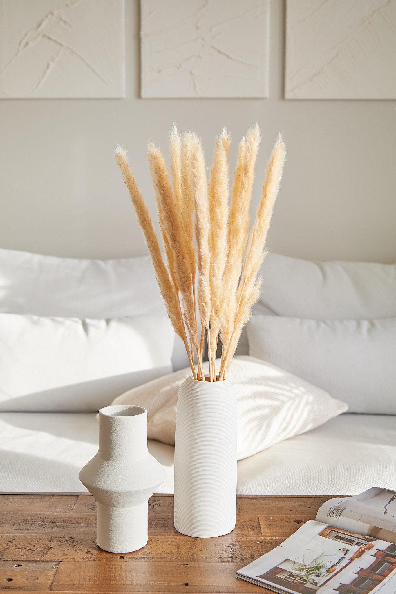 Small Pampas Grass - Beige (15 stems)