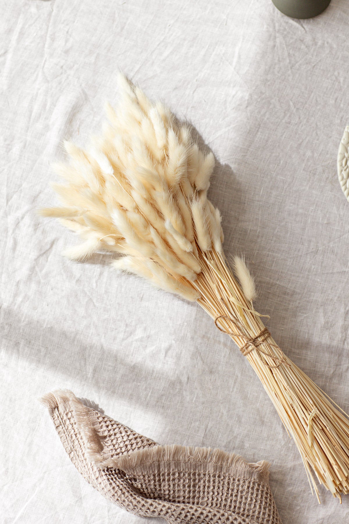 Bunny Tails - White (180 stems)