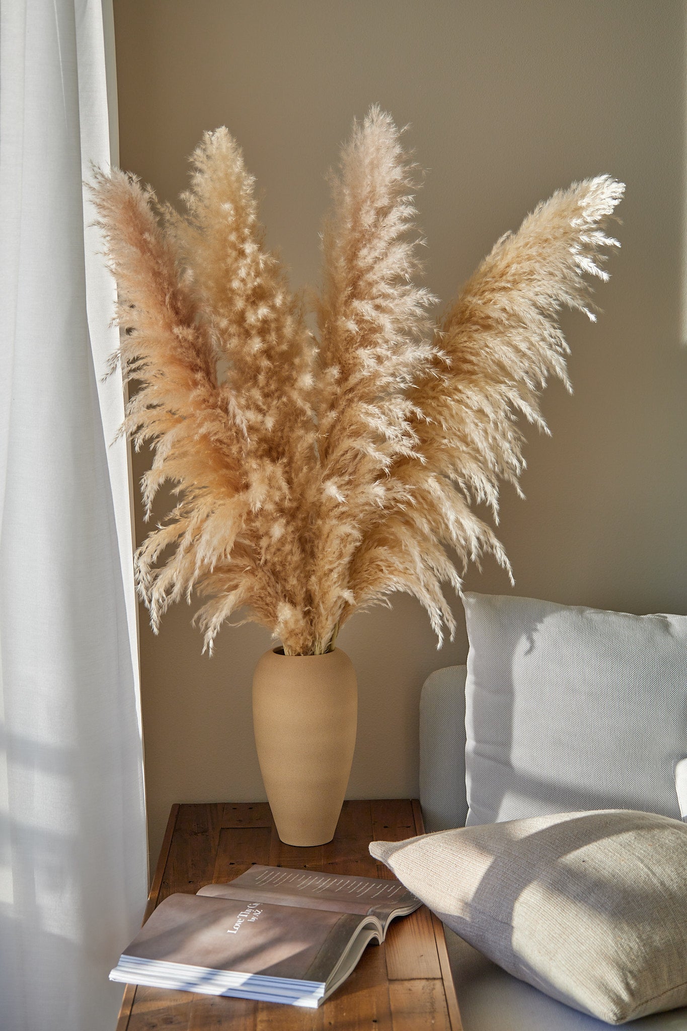 XL Pampas Grass - Beige (Set of 3)