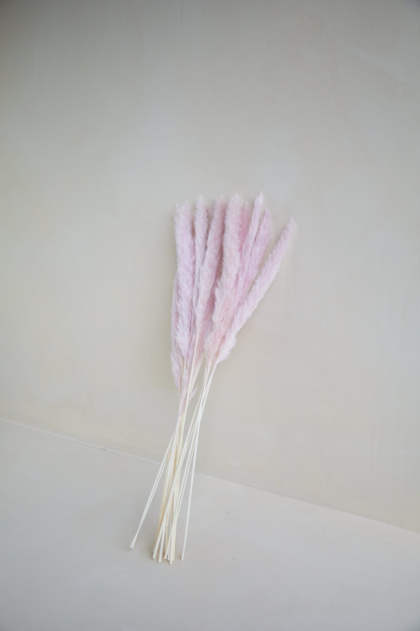 Small Pampas Grass - Light Mauve (15 stems)