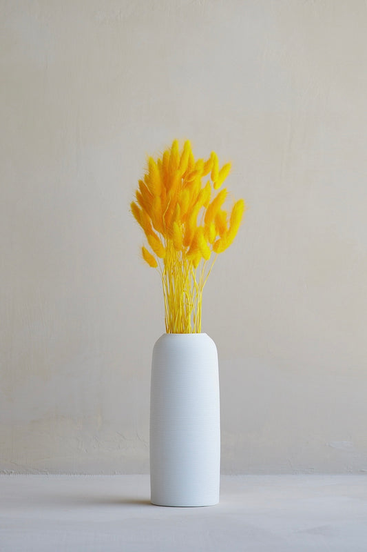 Bunny Tails - Bright Yellow (60 stems)