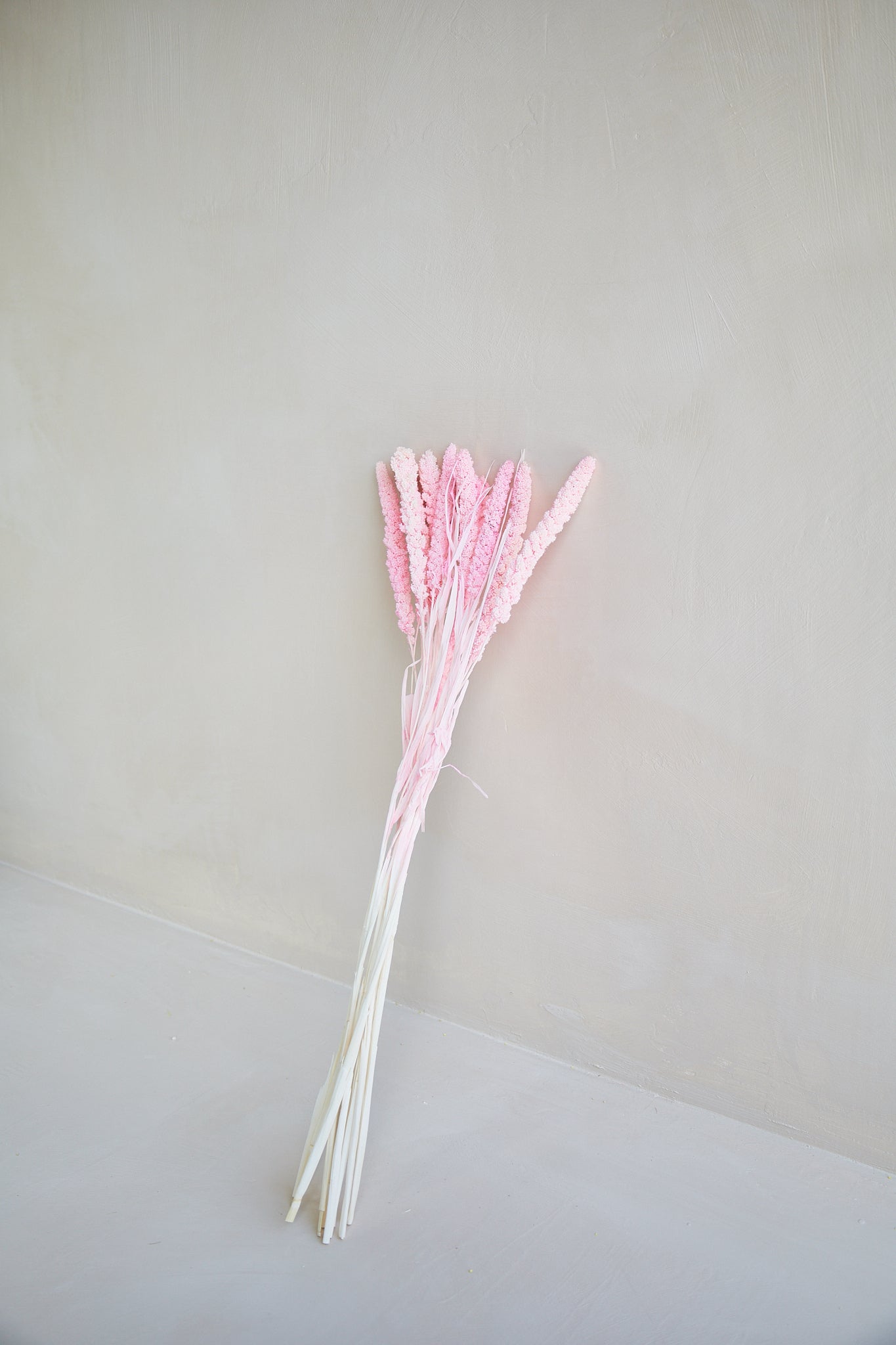 Preserved Millet Grass - Pink