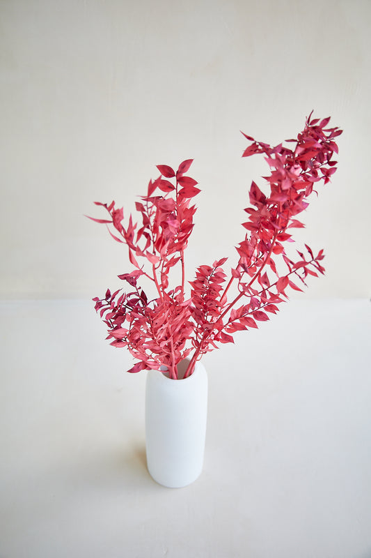 Ruscus Leaves - Red