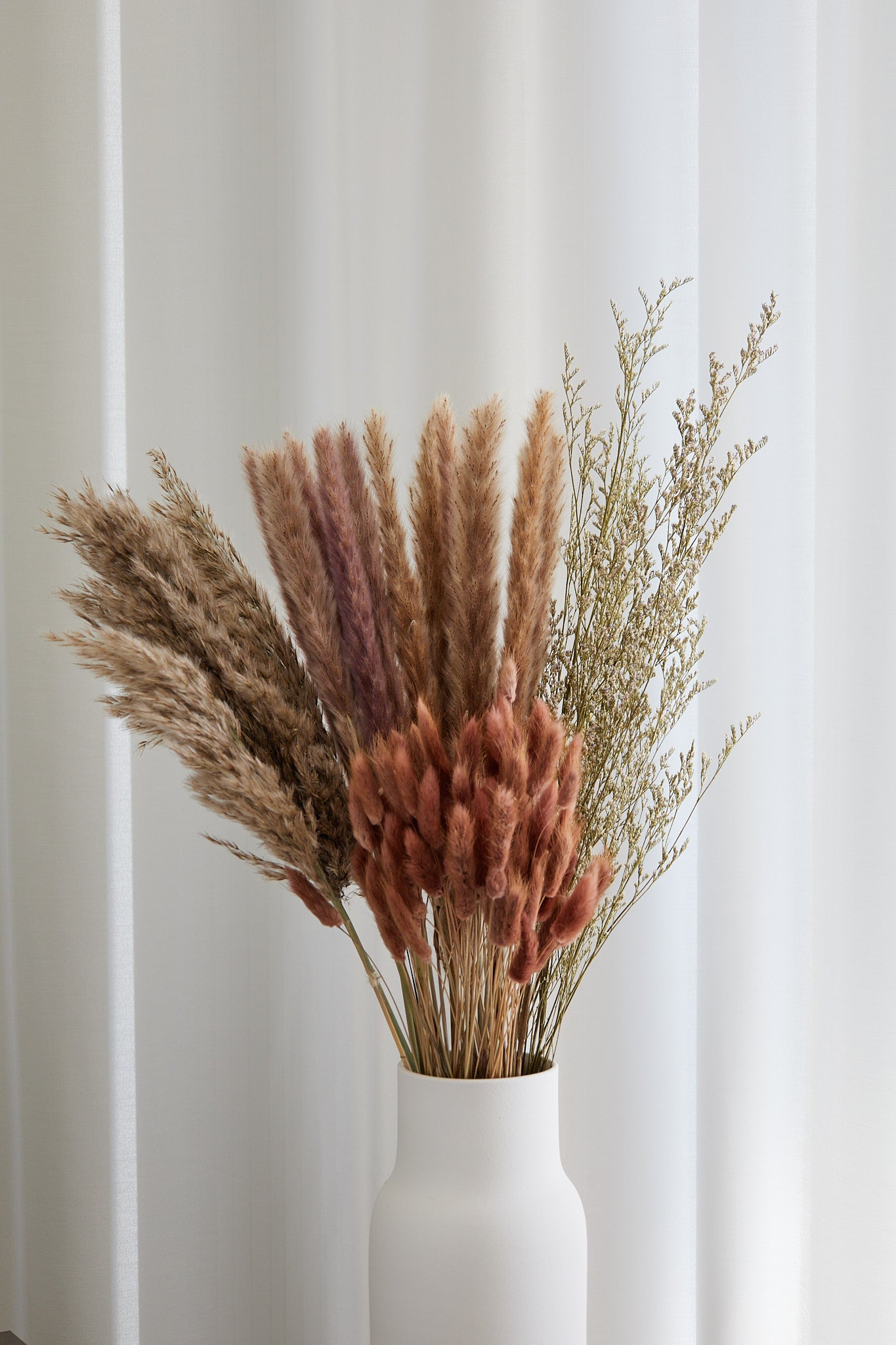 Bunny Tails - Red Bean (60 stems)