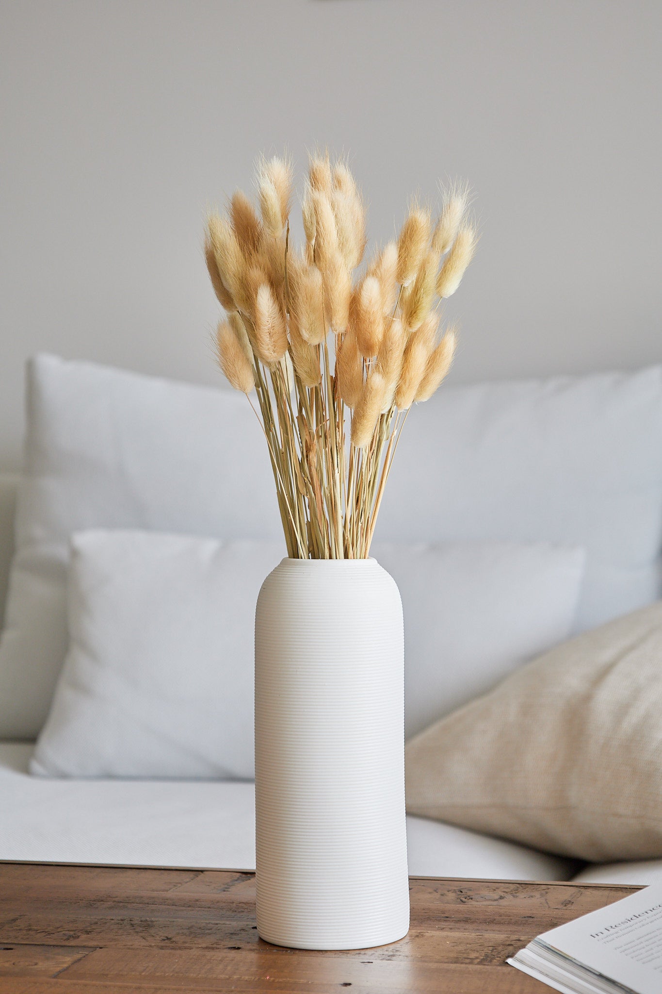 Bunny Tails - Natural (60 stems)