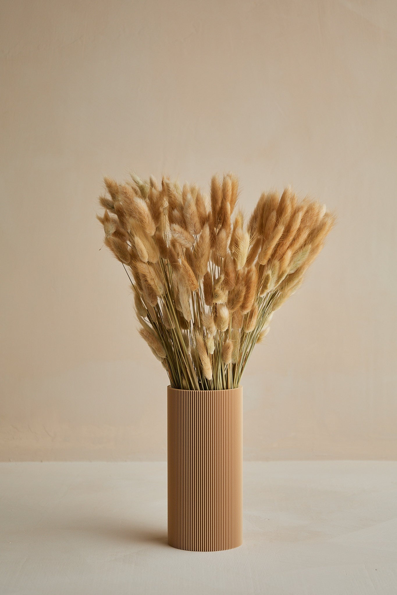 Bunny Tails - Natural (180 stems)