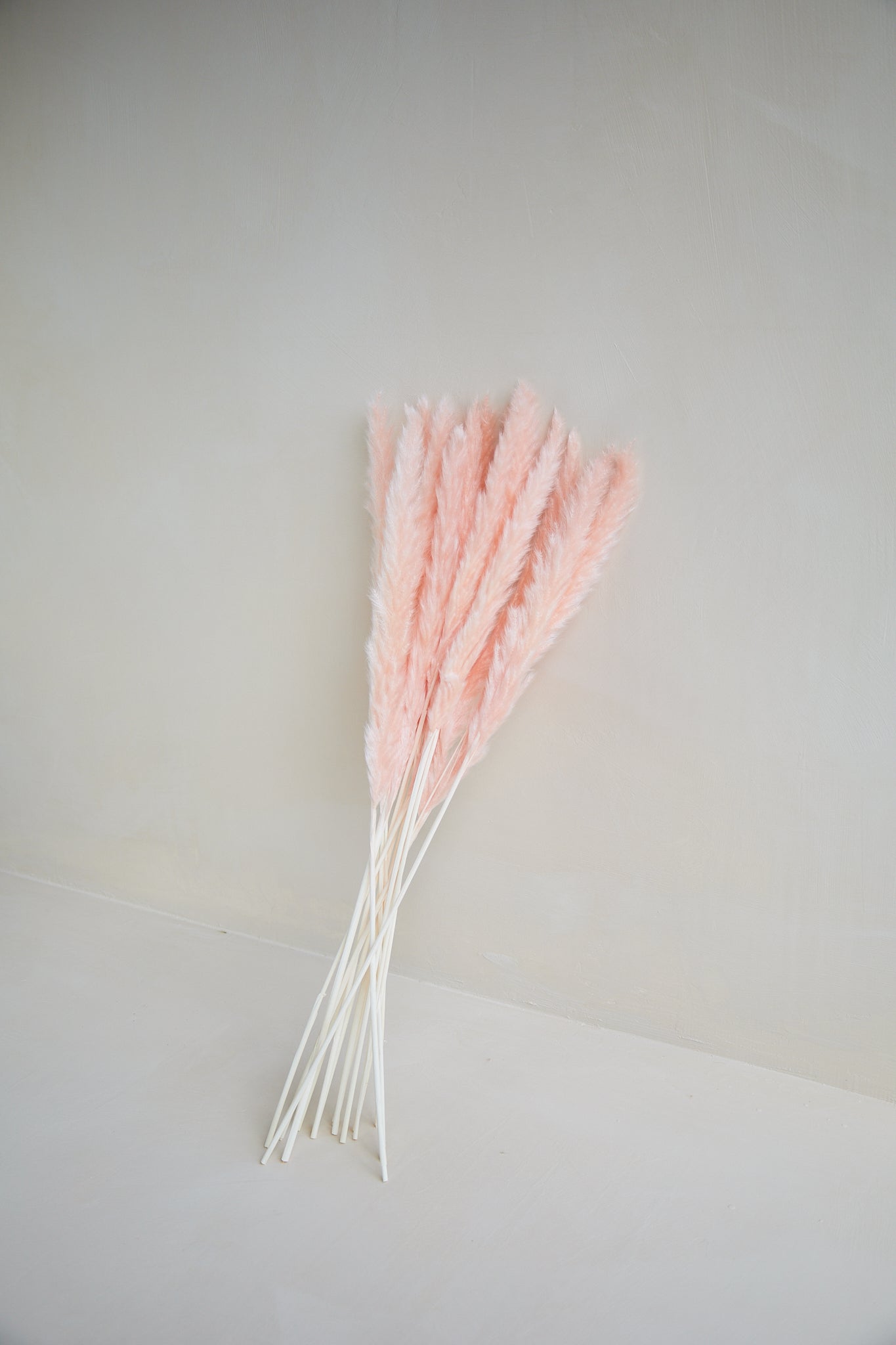Small Pampas Grass - Light Pink (15 stems)