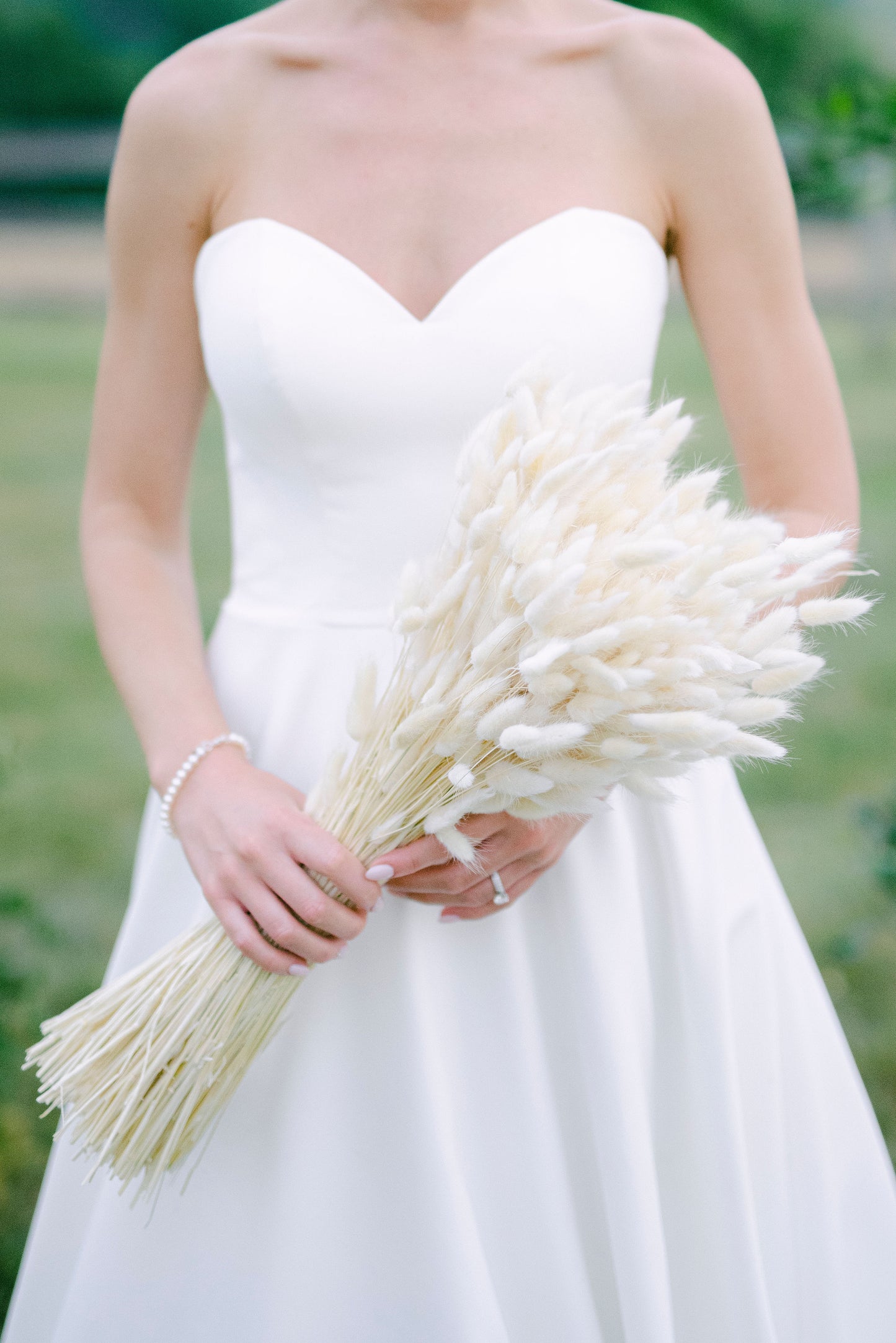 Bunny Tails - White (180 stems)