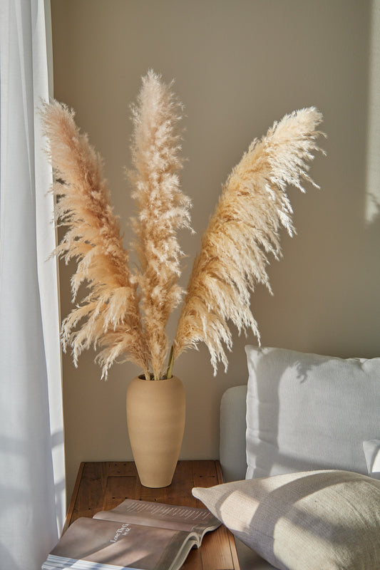 XL Pampas Grass - Beige (Set of 3)