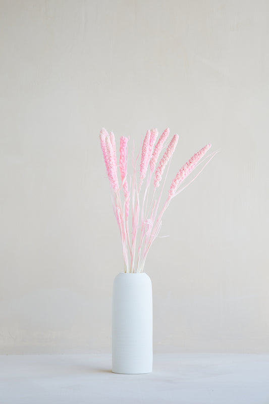Preserved Millet Grass - Pink