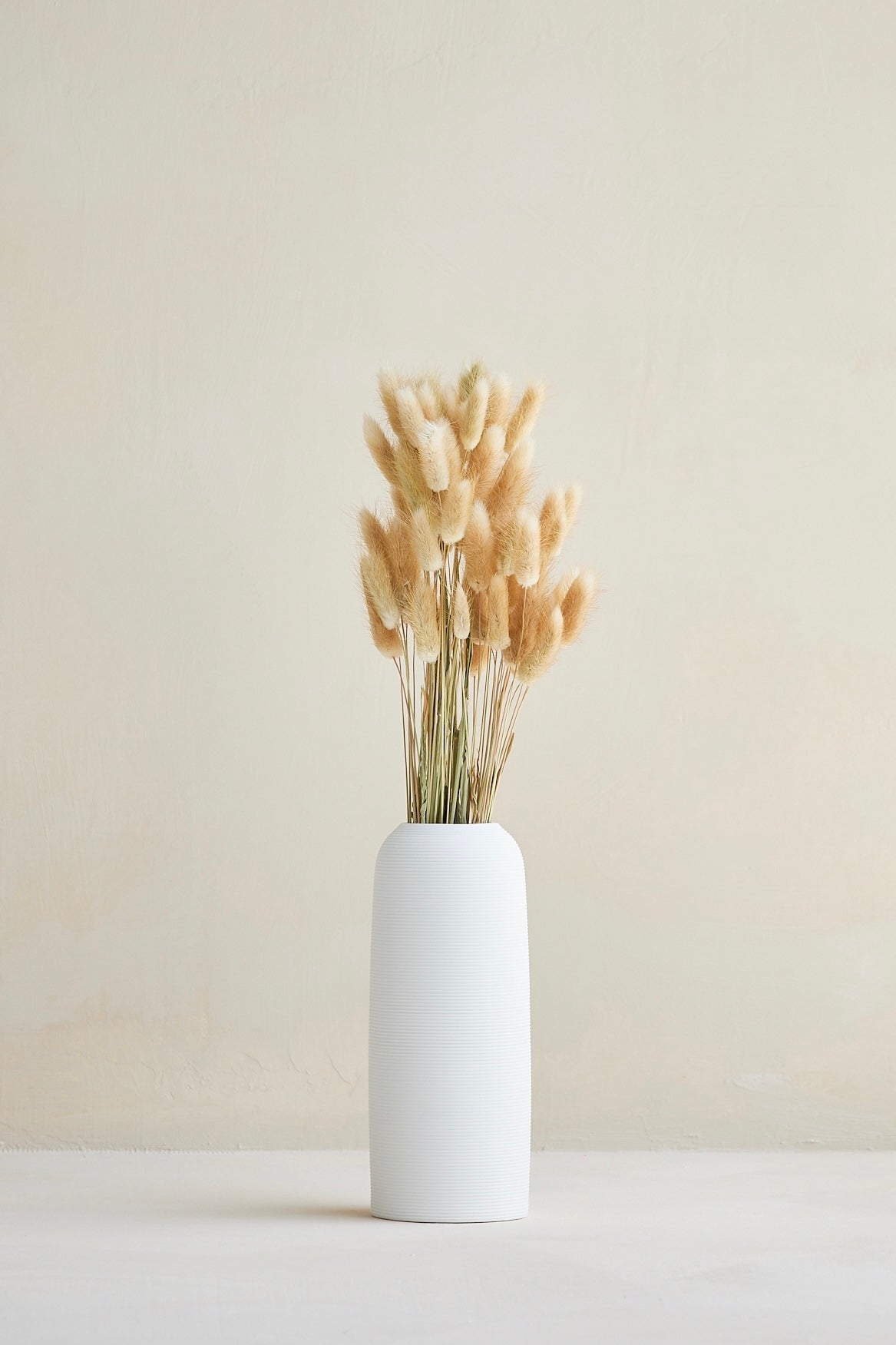 Bunny Tails - Natural (60 stems)