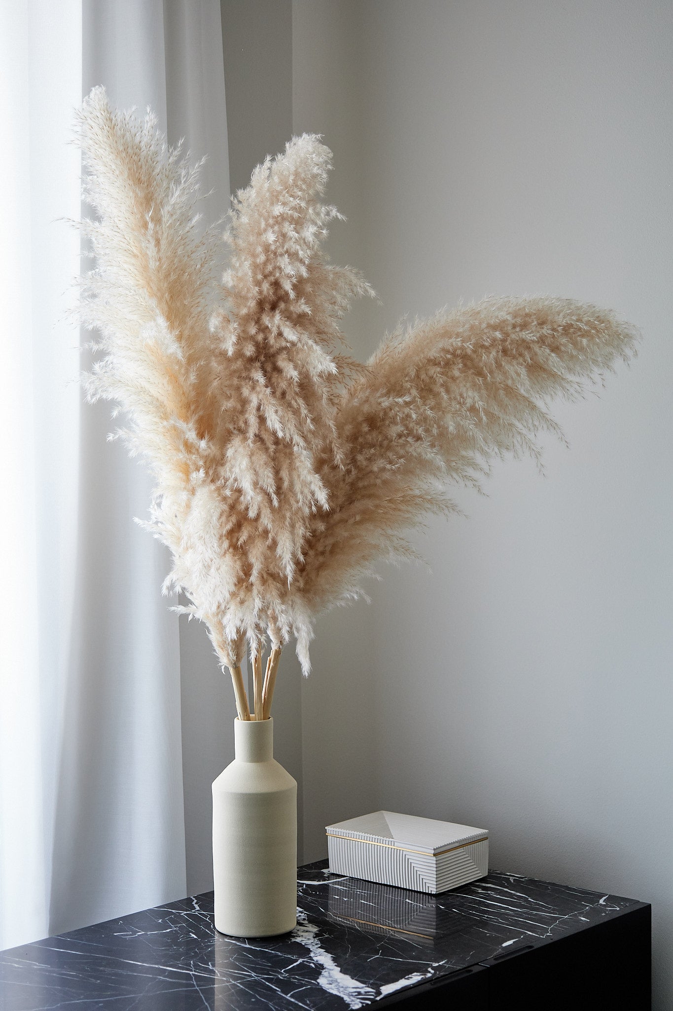 XL Pampas Grass - Beige (Set of 3)