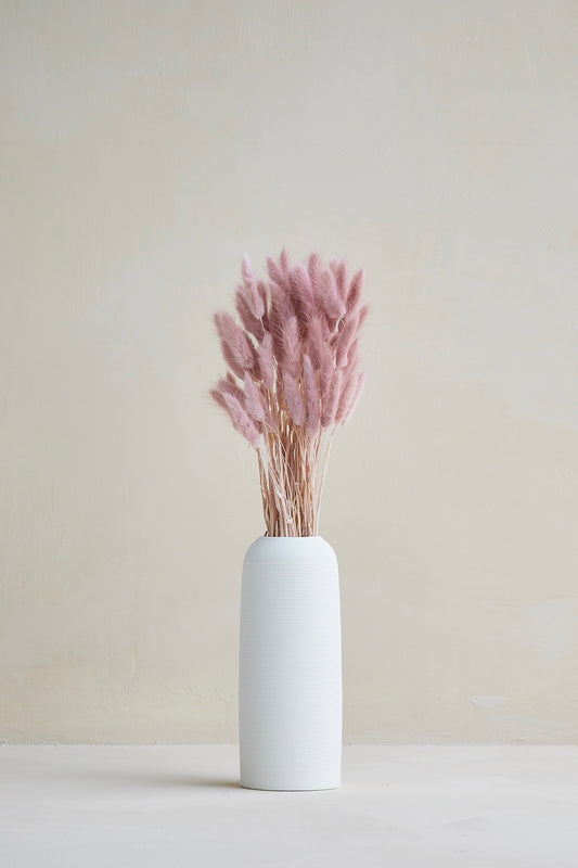 Bunny Tails - Mauve (60 stems)