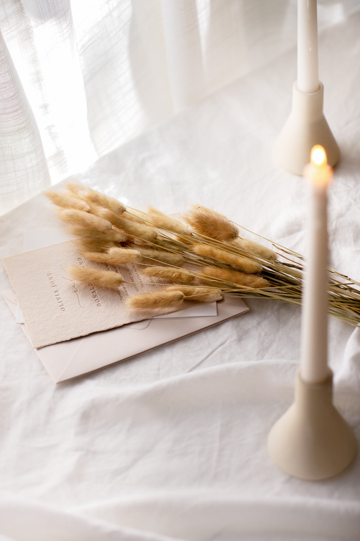Bunny Tails - Natural (60 stems)