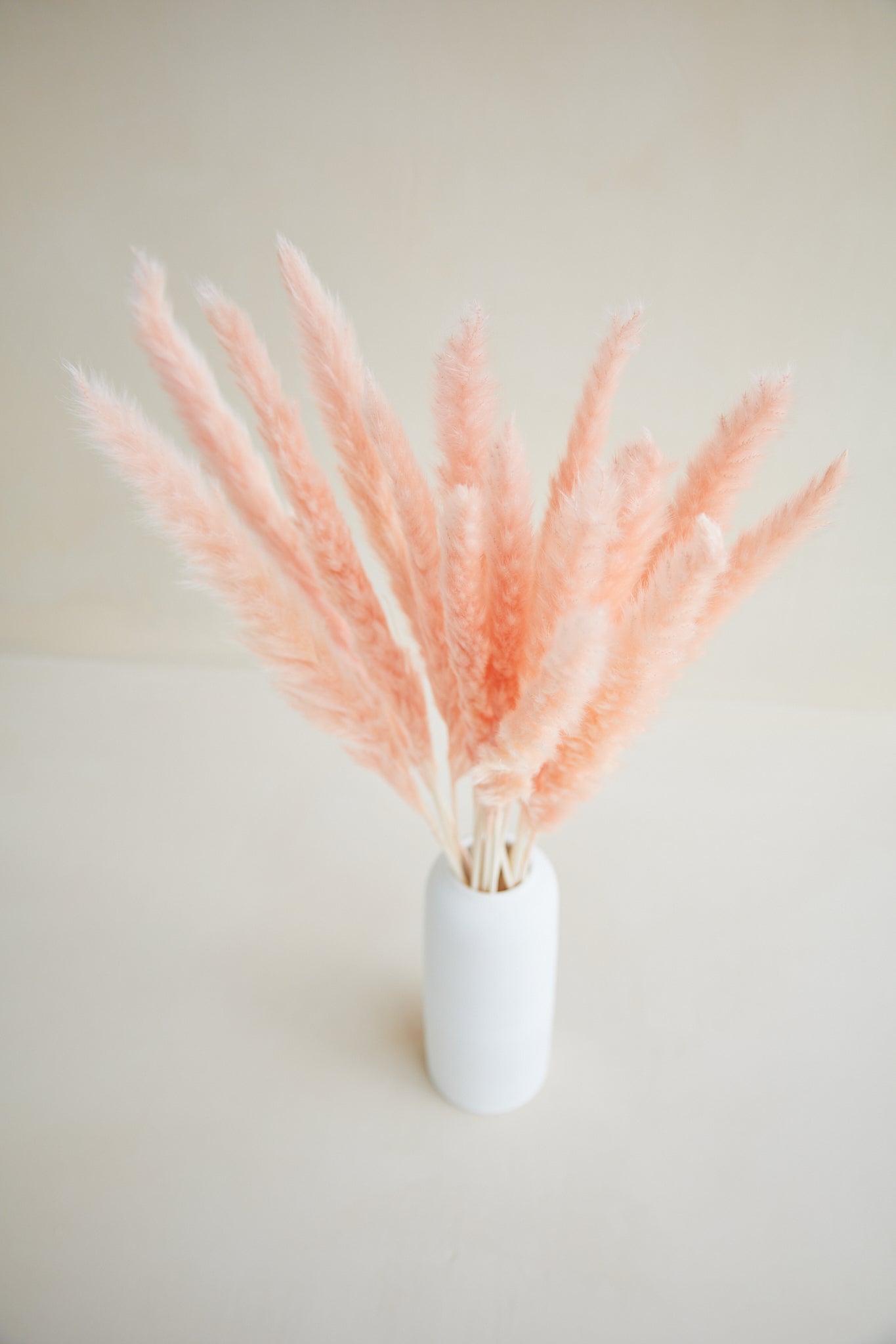 Small Pampas Grass - Light Pink (15 stems)