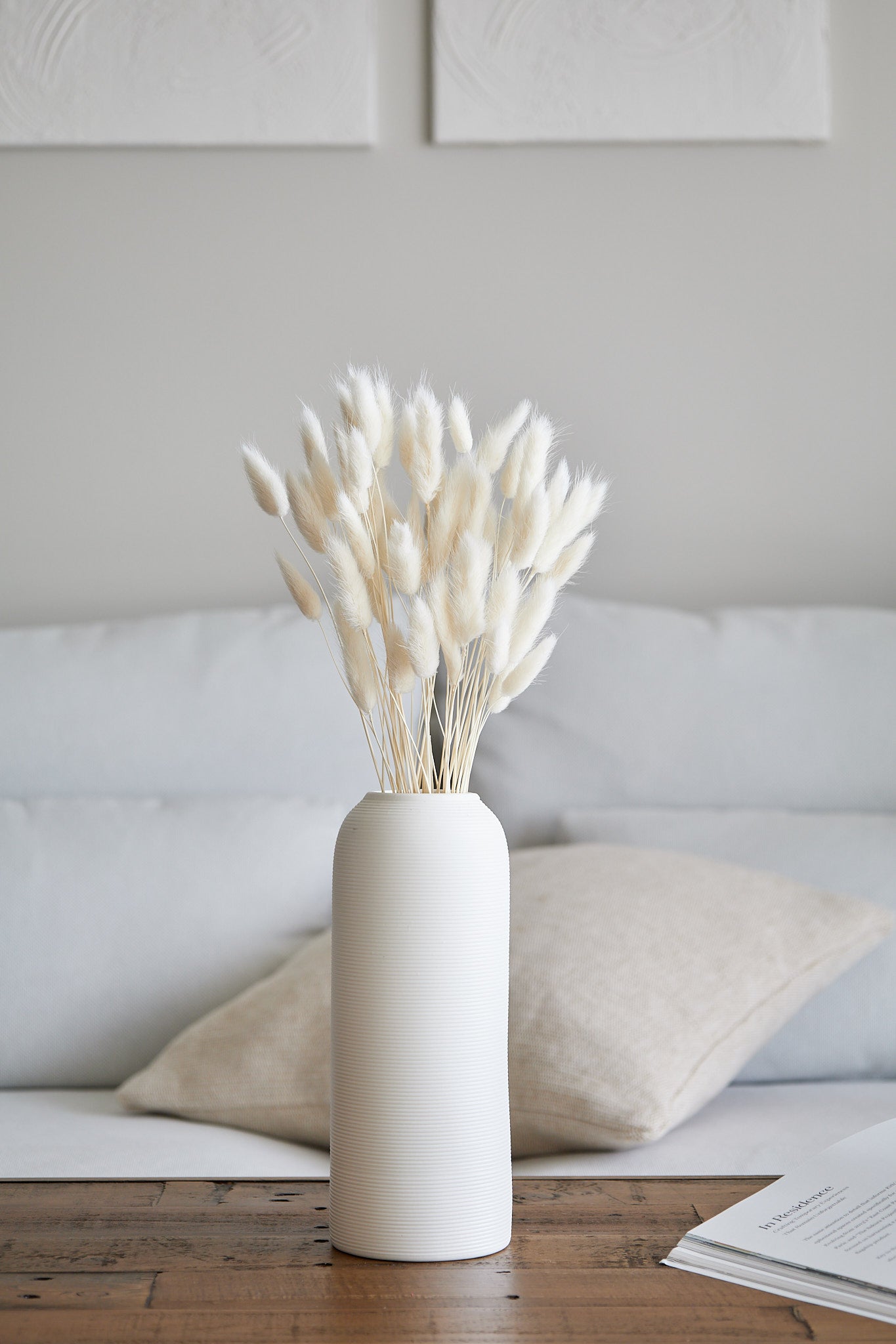 Bunny Tails - White (60 stems)