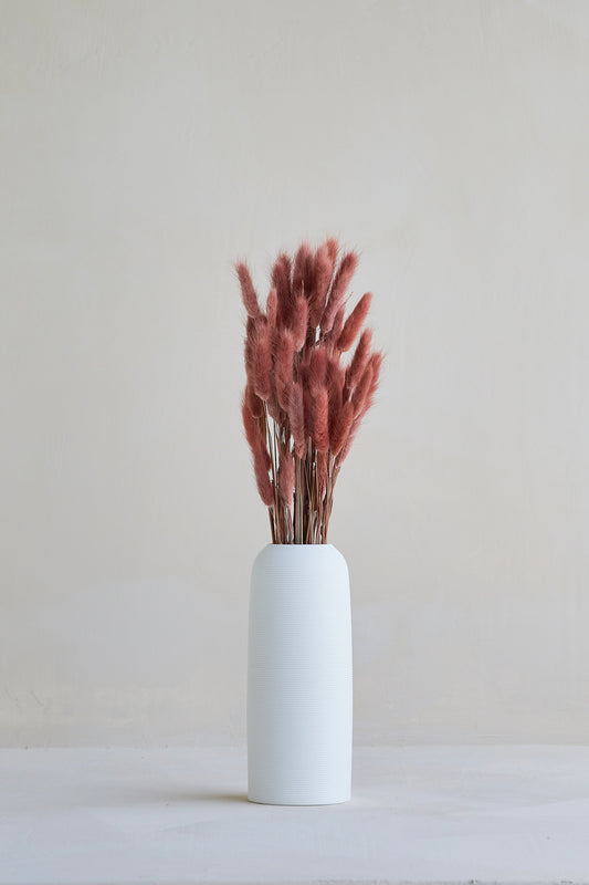Bunny Tails - Burgundy (60 stems)