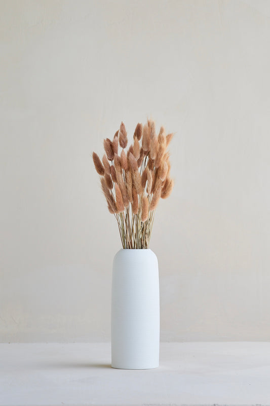 Bunny Tails - Red Bean (60 stems)