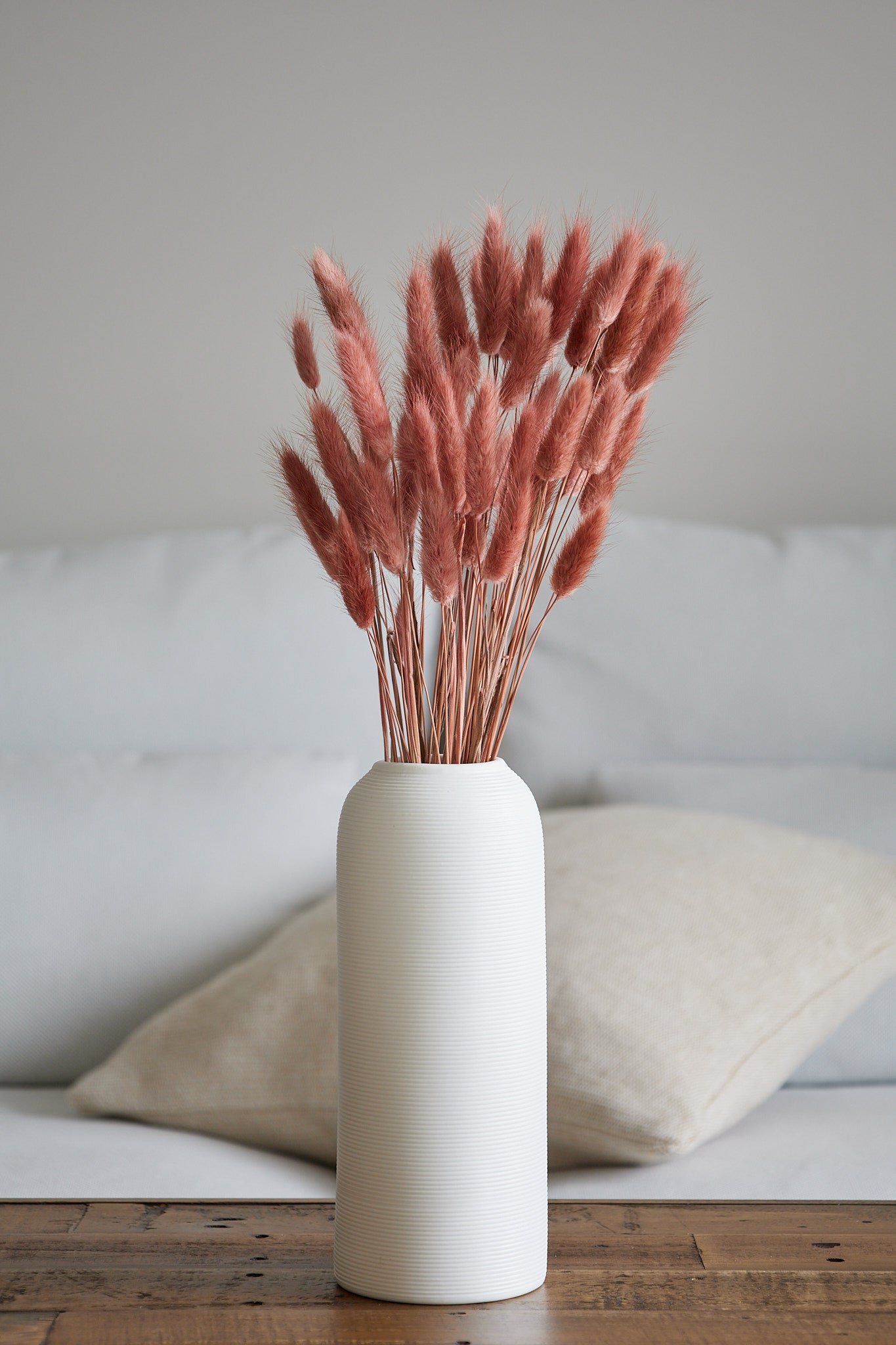 Bunny Tails - Burgundy (60 stems)