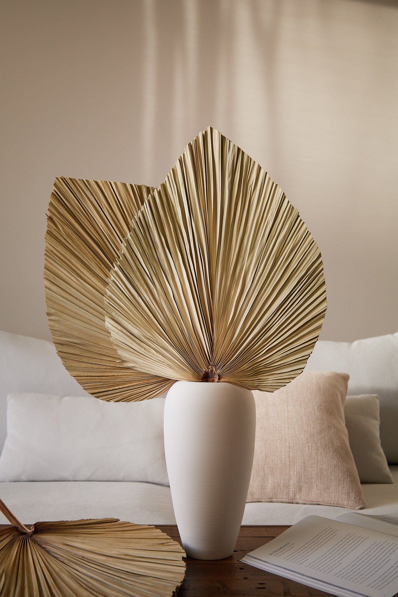 Large Dried Palm Leaves - Set of 3