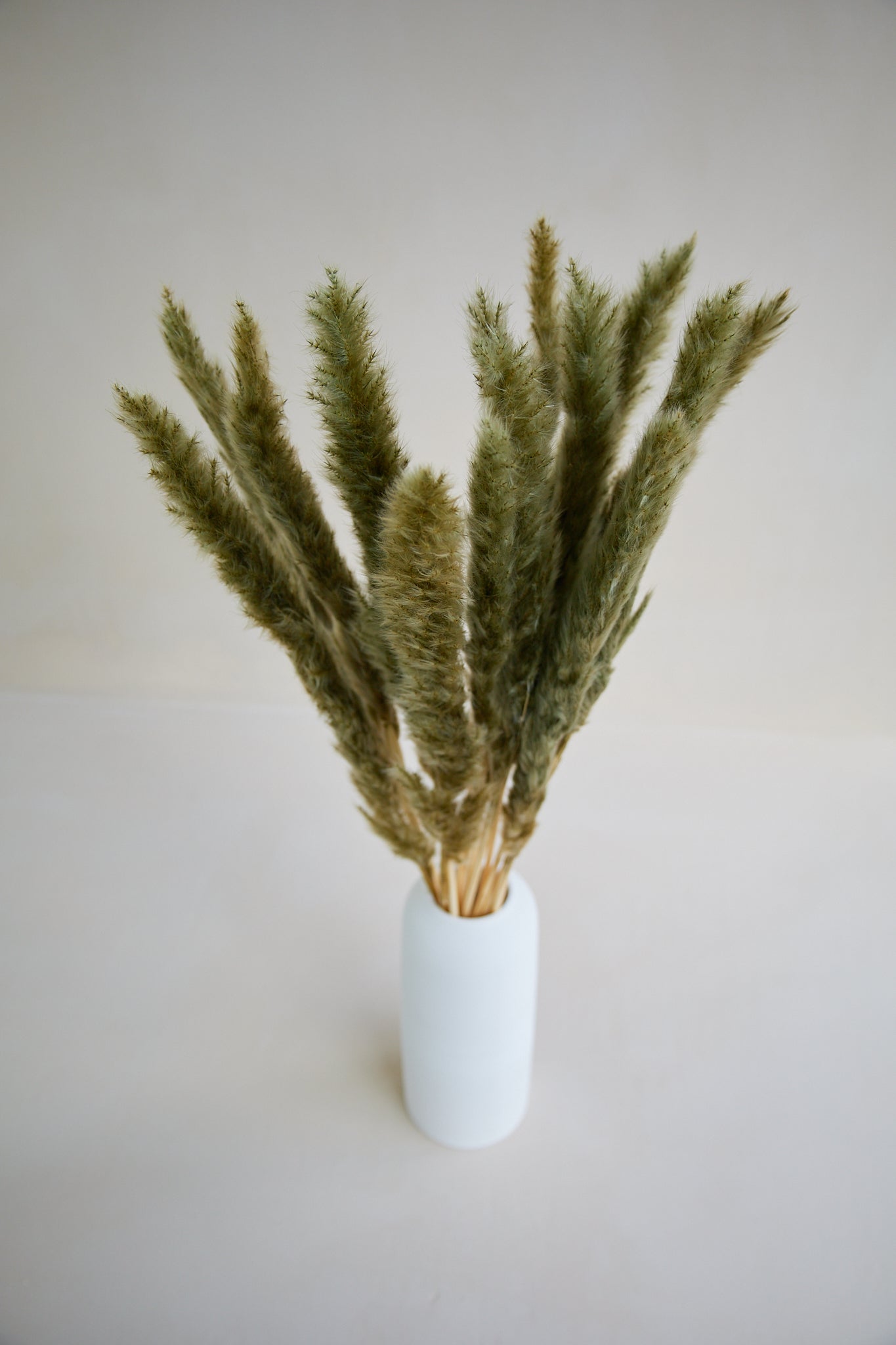 Small Pampas Grass - Frost Green (15 stems)